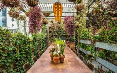 Bricks and mortar is the heart and soul