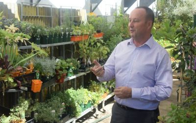 Retail doctor tells Bendigo traders to develop unified vision for shopping in their city