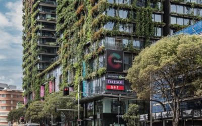 The 5 Golden Rules of reducing your occupancy costs: Rule #5 Underestimate the sales, overestimate the costs, then sell more