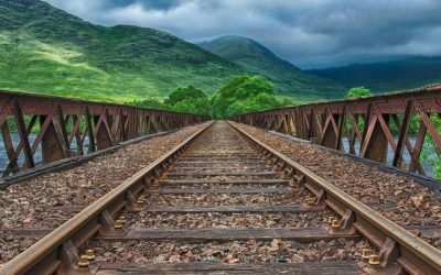 Crossing the retail bridge to the new world