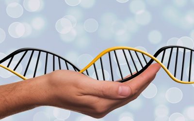 The DNA of the evolving retail space