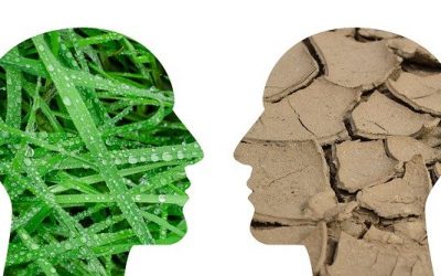 The inertia principle or what it takes to deliver real change