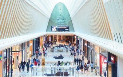  The Beginning of the End of the Shopping Centre Lease?