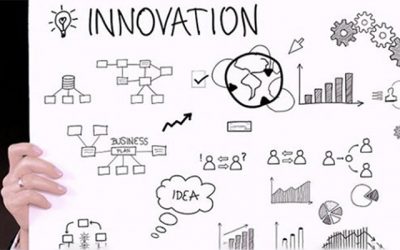 Adaptation vs. Innovation: Which is which?